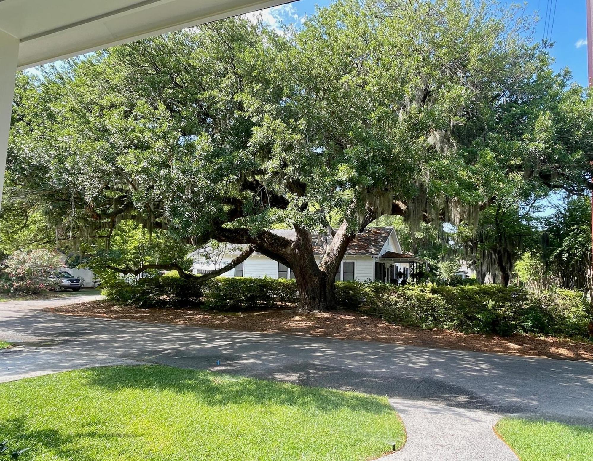 Magnolia Court Suites Beaufort Exterior photo